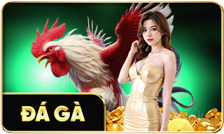 Đá gà siêu hay tại zbet