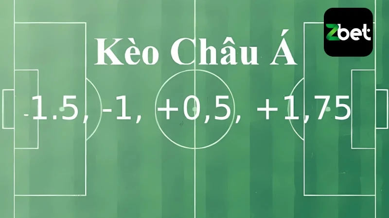 Cách đọc hiểu hèo cá cược bóng đá châu Á đơn giản, dễ tiếp cận