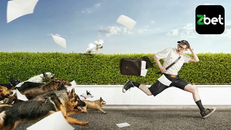 Giấc mơ bị chó cắn đuổi mang nhiều ý nghĩa khác nhau